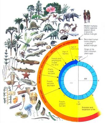 2018年首屆南澳論壇專家演講《生態文明: 人類文明進程的新階段》