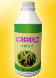廣州以諾生物科技推出‘em種植寶’水稻專用產品，助力綠色農業發展