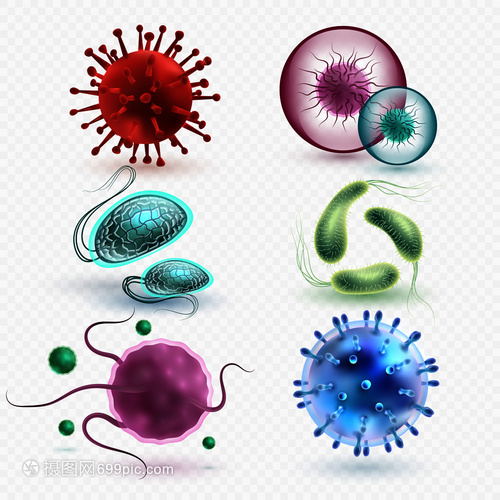 3D現實中的微生物與細菌 隔離、媒集與微觀世界的探索